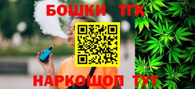 индика Ирбит