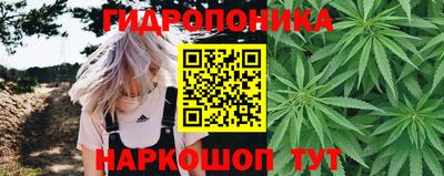 индика Ирбит