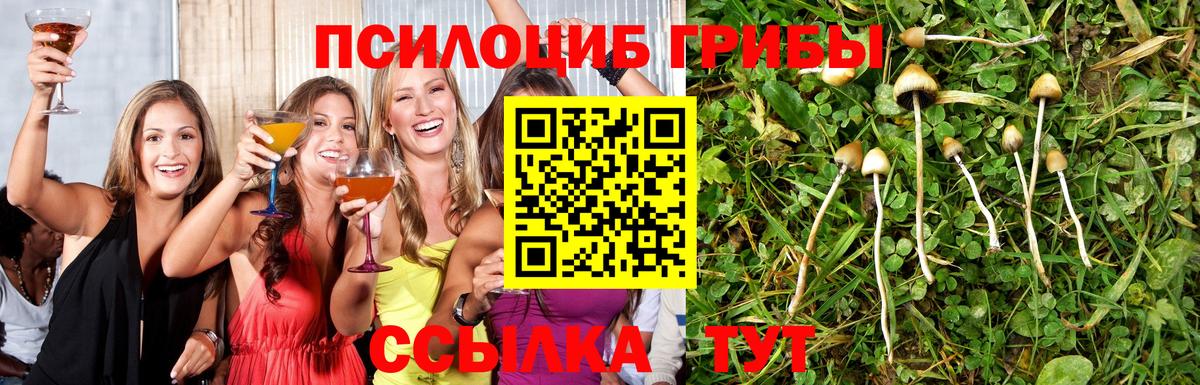 Гашиш Майский