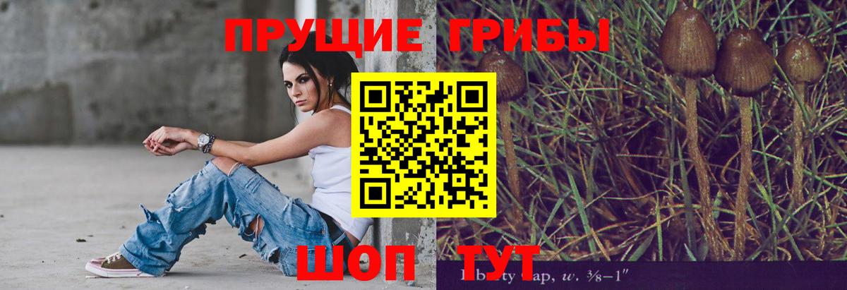 Майский  Галлюциногенные грибы мухоморы  Вход с VPN 